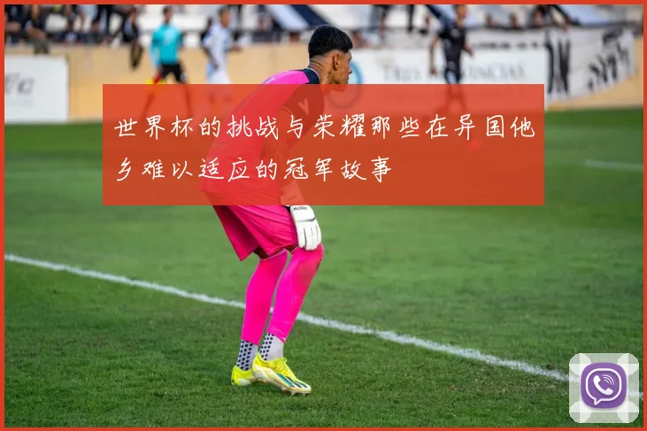 世界杯的挑战与荣耀那些在异国他乡难以适应的冠军故事